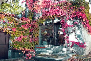 布拉加横扫对手，大胜晋级