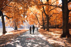 步行者主场击败老鹰，萧华斯分助攻成核心