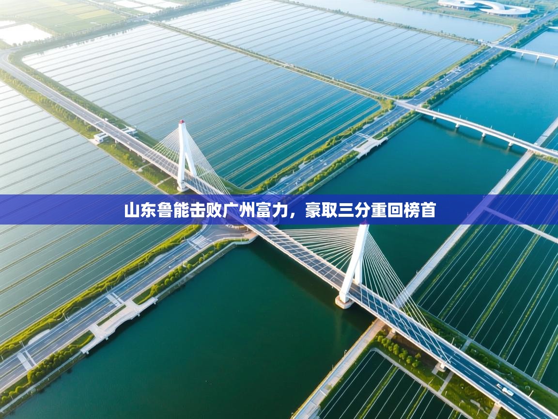 山东鲁能击败广州富力，豪取三分重回榜首  第2张