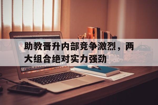 九游体育官方入口-助教晋升内部竞争激烈，两大组合绝对实力强劲的简单介绍